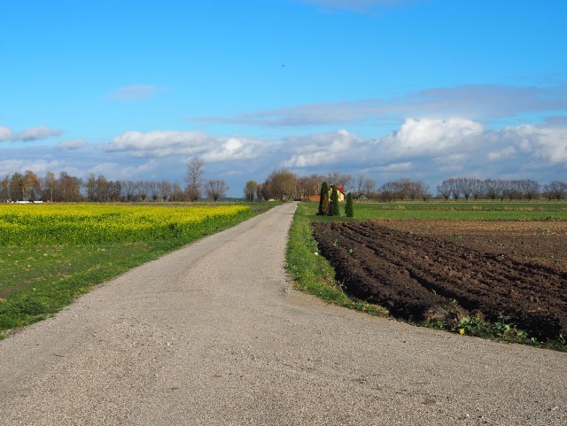 Nowe drogi szutrowe na terenie gminy Andrzejewo (zdjęcia) Aktualności
